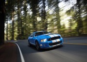 Shelby Cobra GT500 Show Car